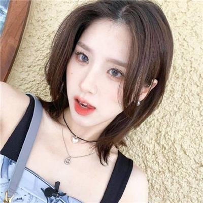 庇护棕榈树下